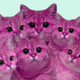 Illustration for article titled Its Like Taking Drugs and Looking at Cats